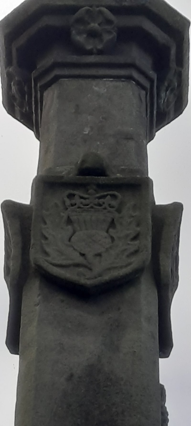 Scottish Royal Thistle