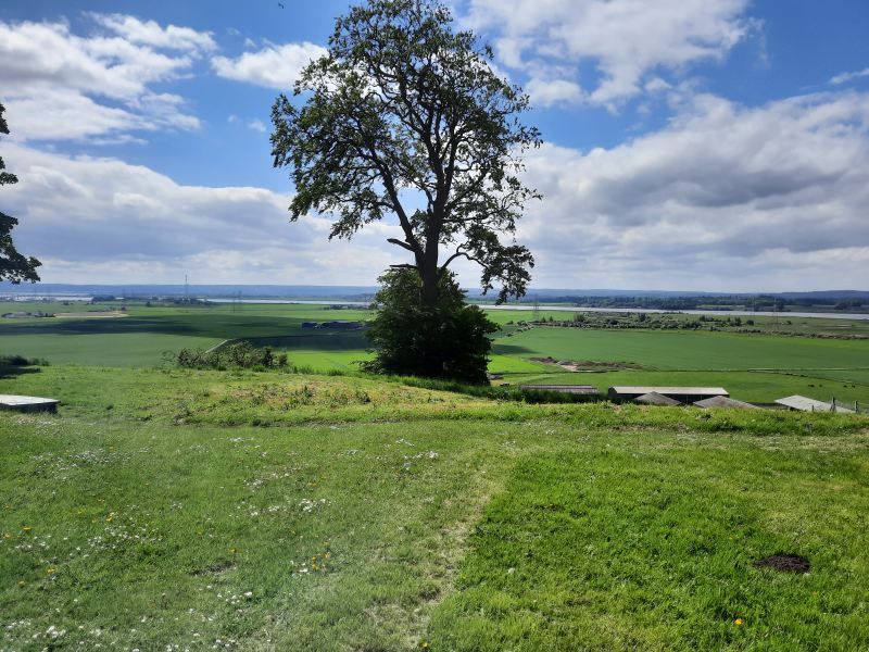 View south from Clackmannan Tower