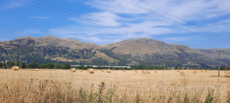 Clackmannanshire Fields