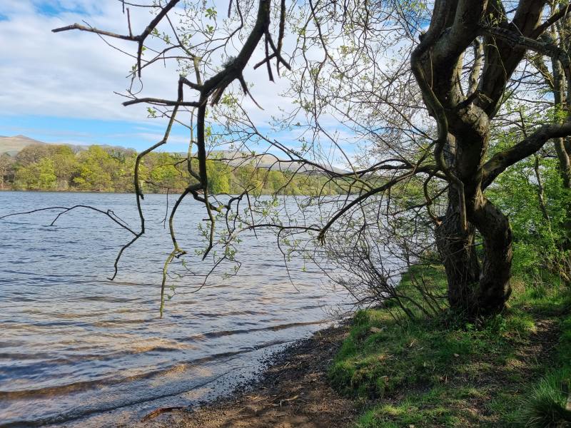 Gartmorn Dam