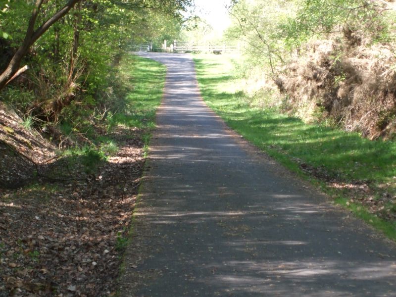 Ramp at Bogside