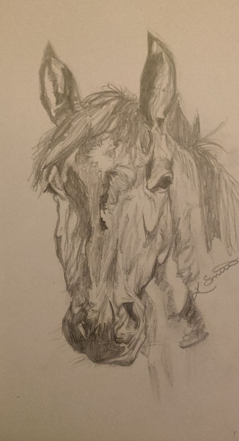 Horse