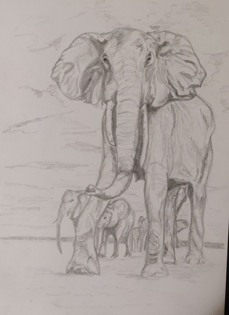 Elephant