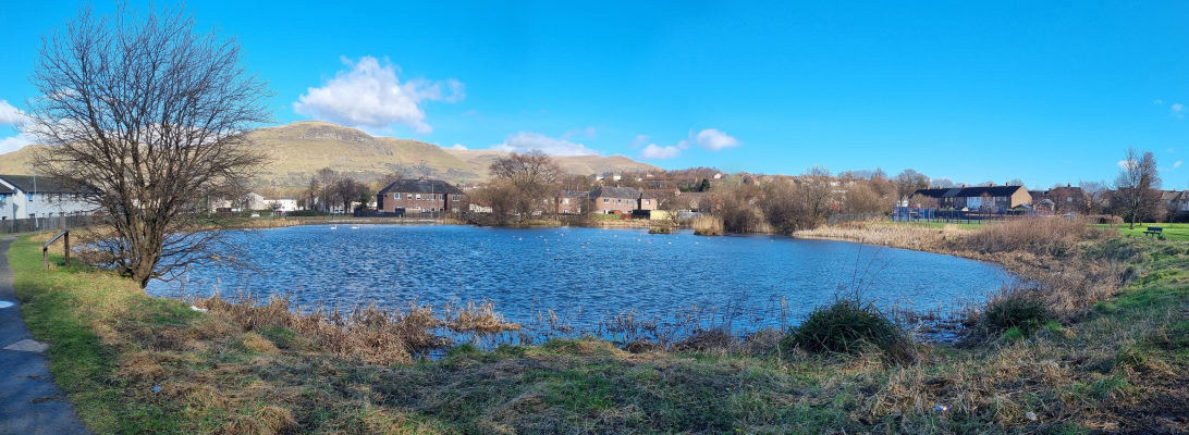 Delph Pond from SW Corner